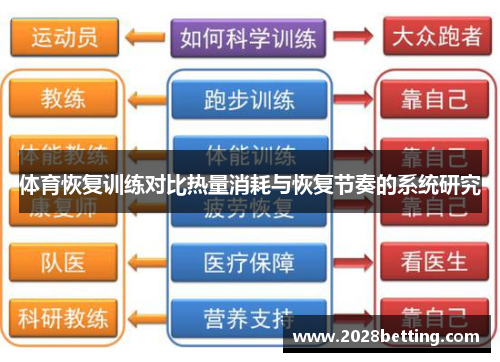 体育恢复训练对比热量消耗与恢复节奏的系统研究